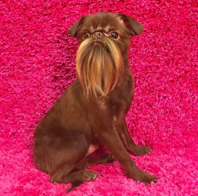 Elegância e sofisticação