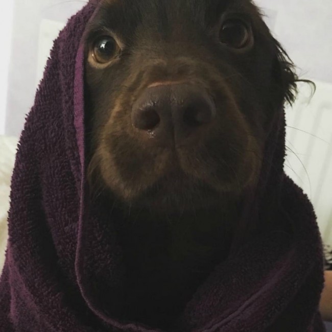 Não me dê banhos, dê abraços.