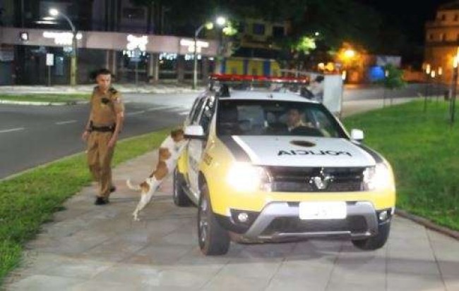 (FOTO: REPRODUÇÃO/UMUARAMA NEWS)