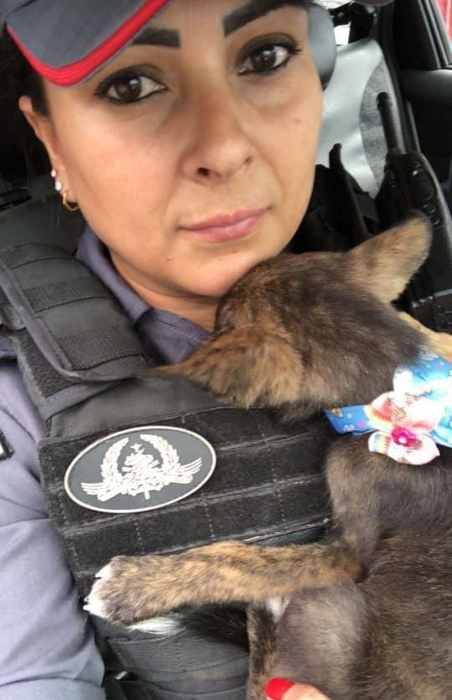 Polícia Militar de Mato Grosso/Assessoria