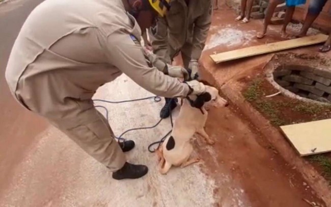Divulgação / Corpo de Bombeiros