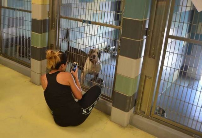 Riverside County Animal Services / Reprodução