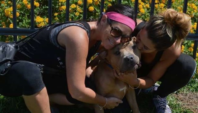 Riverside County Animal Services / Reprodução
