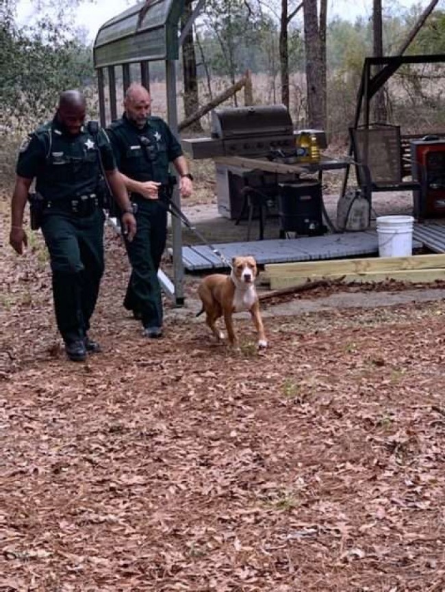 Suwannee County Sheriffs Office / Reprodução