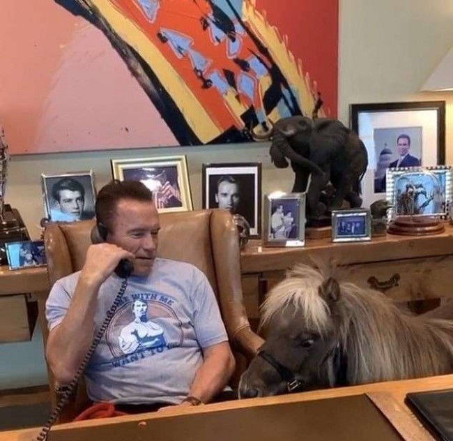 Arnold Schwarzenegger/Instagram