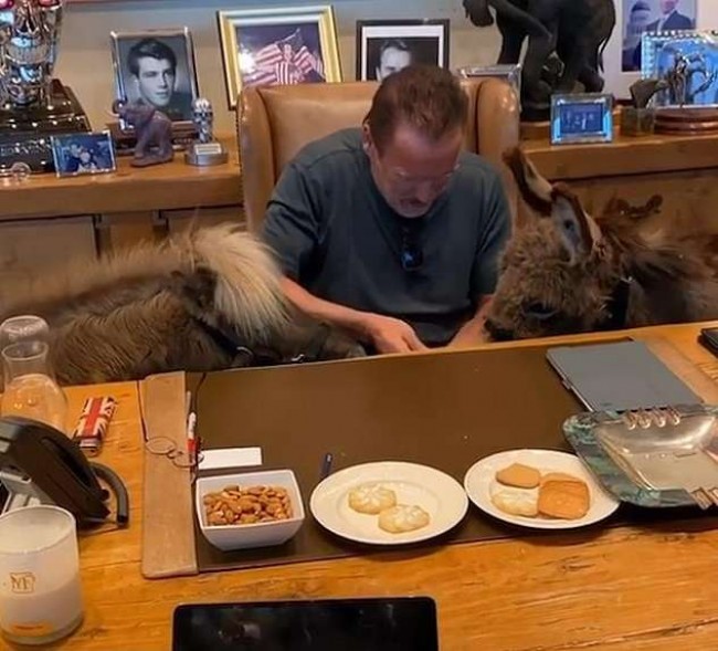 Arnold Schwarzenegger/Instagram