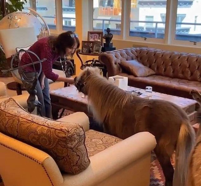 Arnold Schwarzenegger/Instagram