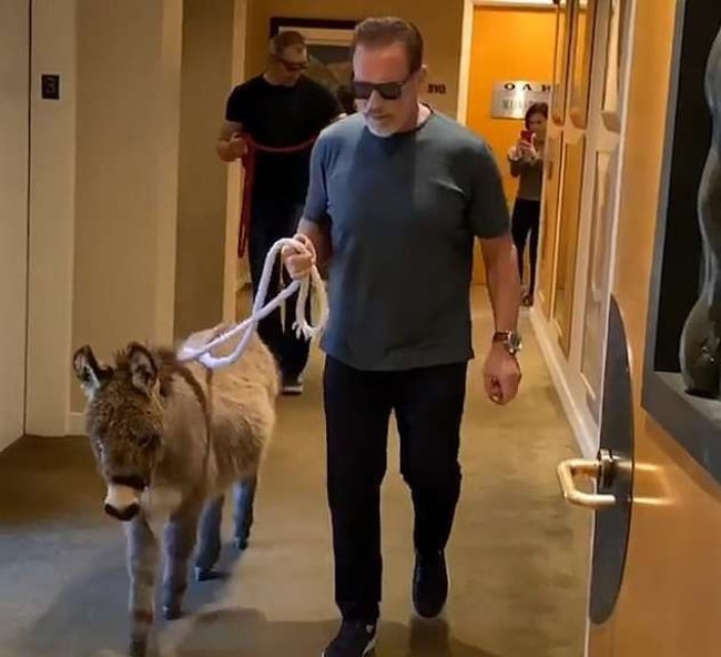 Arnold Schwarzenegger/Instagram