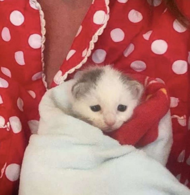 Foto: pollyandpax/instagram