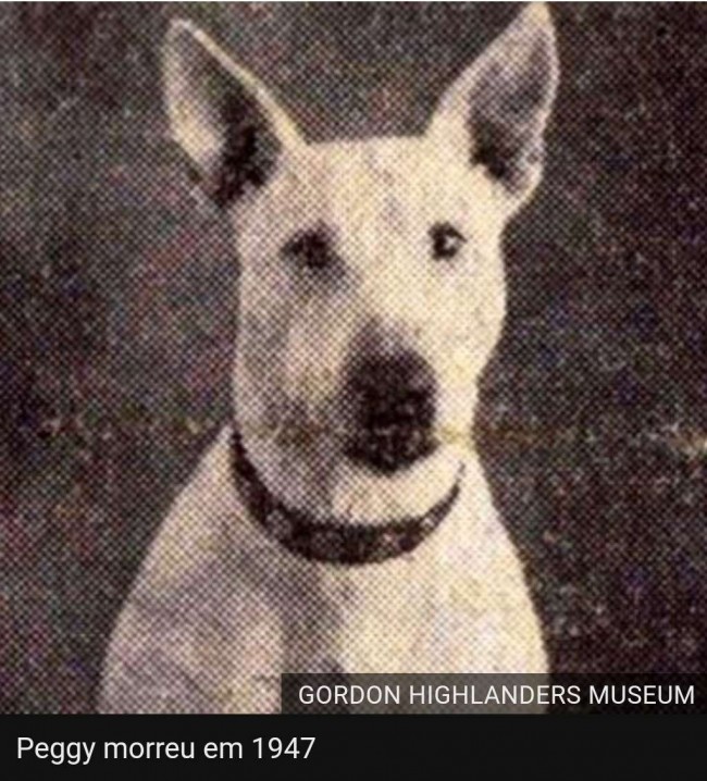 Foto: PDSA / Gordon Highlanders Museum