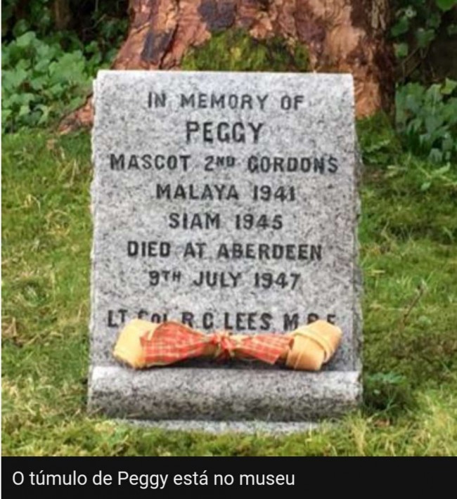 Foto: PDSA / Gordon Highlanders Museum