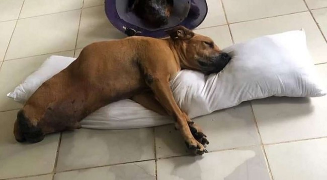 Arquivo Pessoal
