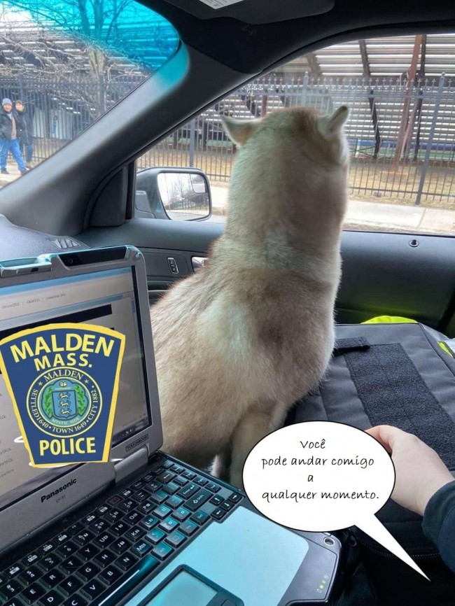 Foto: Malden Police Department / Amanda Yanovitch