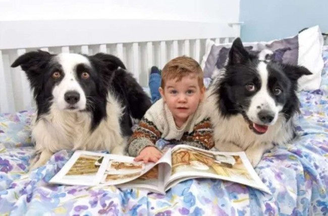 Foto: Laura Webster / Caters News Agency)