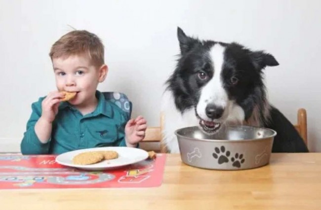 Foto: Laura Webster / Caters News Agency)