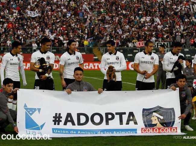 Foto: Colo-Colo / Facebook