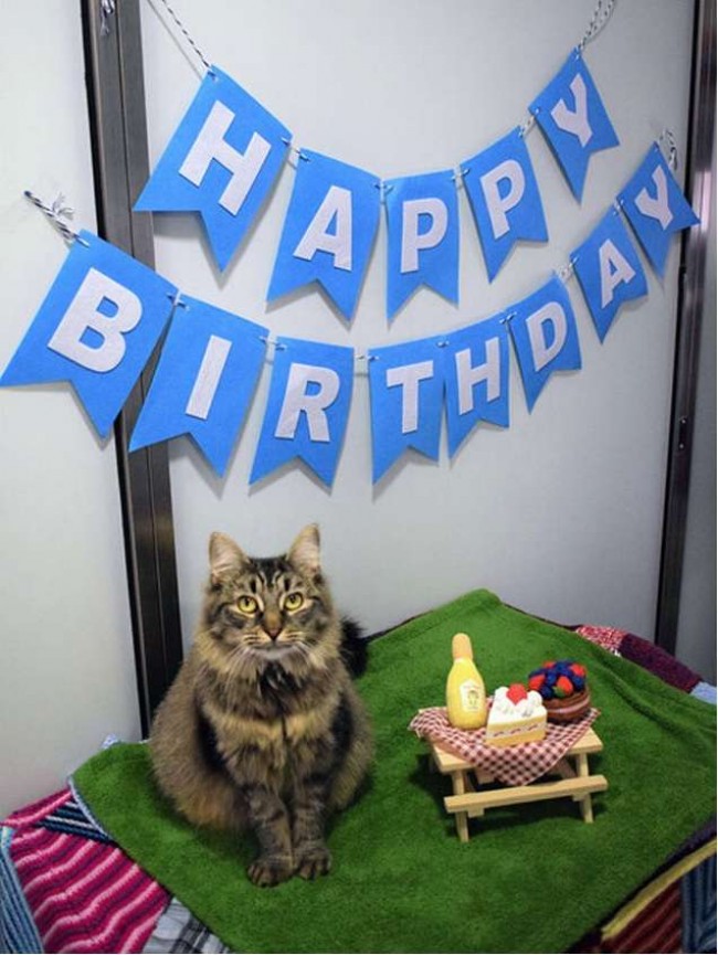 Foto: Battersea Dogs & Cats Home