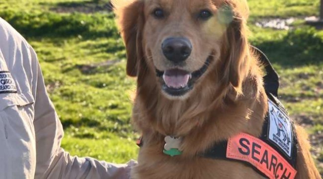 Foto: Marin County Sheriffs Office