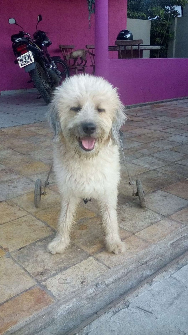Foto: Scheila Tavares/ Arquivo Pessoal
