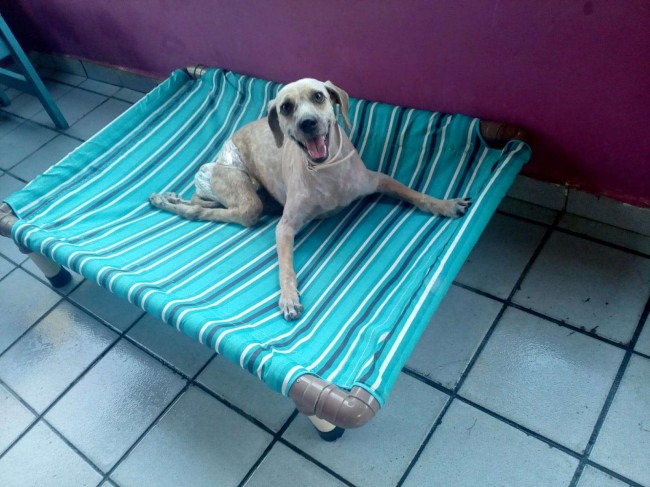Foto: Scheila Tavares/ Arquivo Pessoal