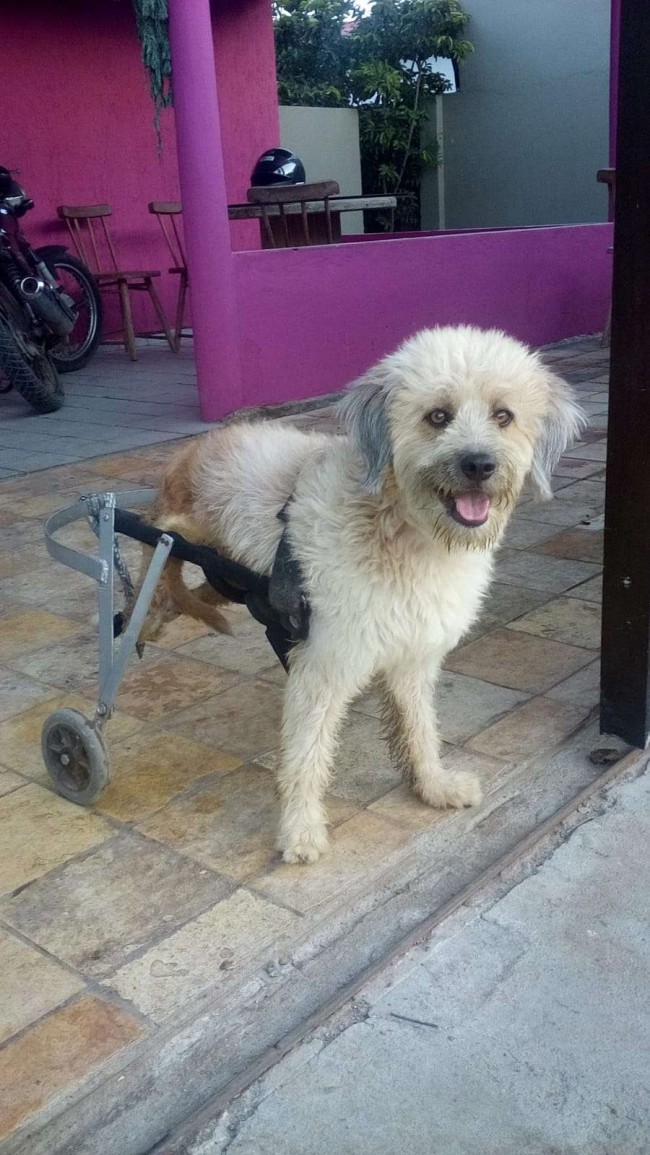 Foto: Scheila Tavares/ Arquivo Pessoal