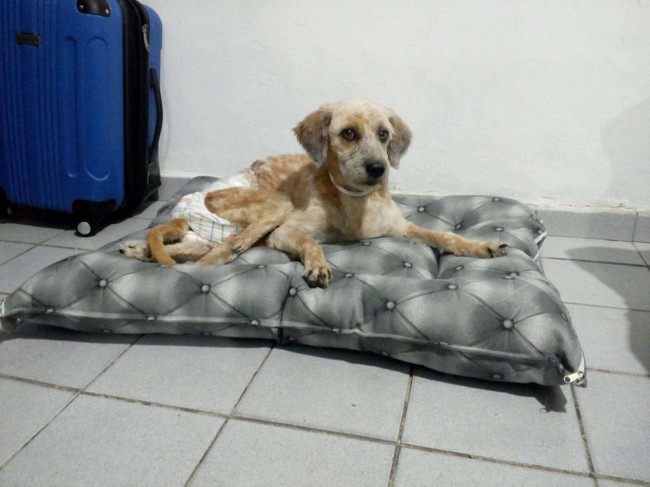 Foto: Scheila Tavares/ Arquivo Pessoal