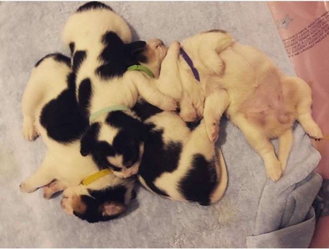 Foto: ourgoldenyears/ Instagram