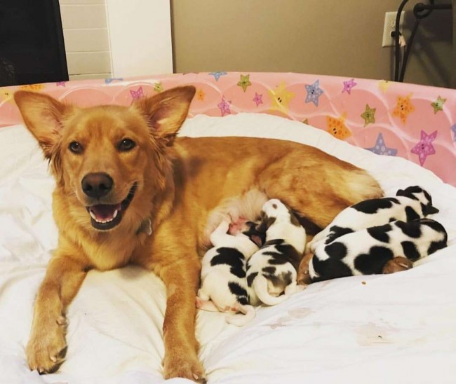 Foto: ourgoldenyears/ Instagram