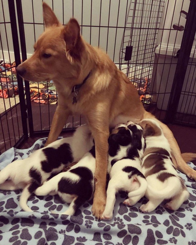 Foto: ourgoldenyears/ Instagram