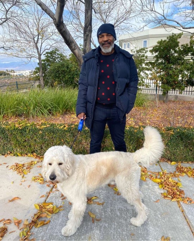 Foto: marstysonthedog / Instagram