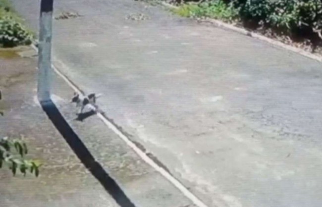 Foto: Arquivo Pessoal