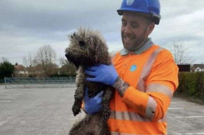 Foto: Reprodução Twitter / @thameswater