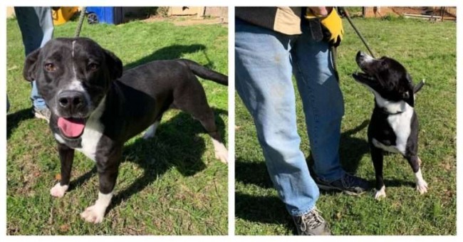 Foto: Sociedade Humana de Bullock County