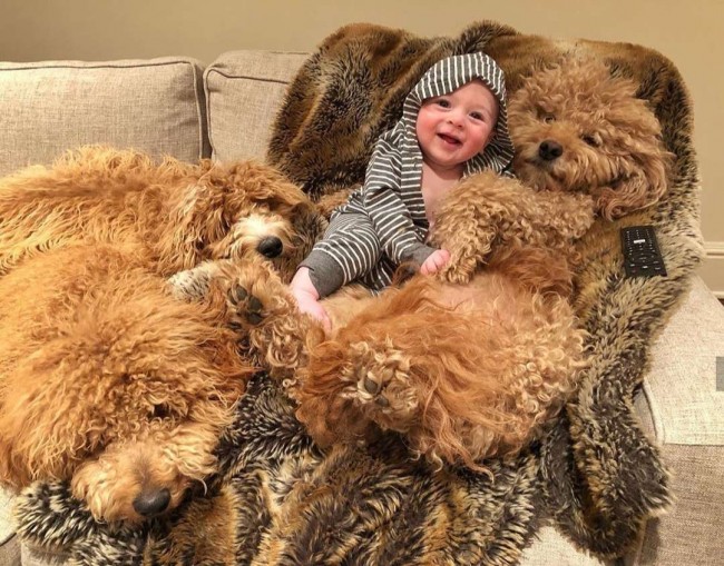 Foto: samsonthedood / Instagram