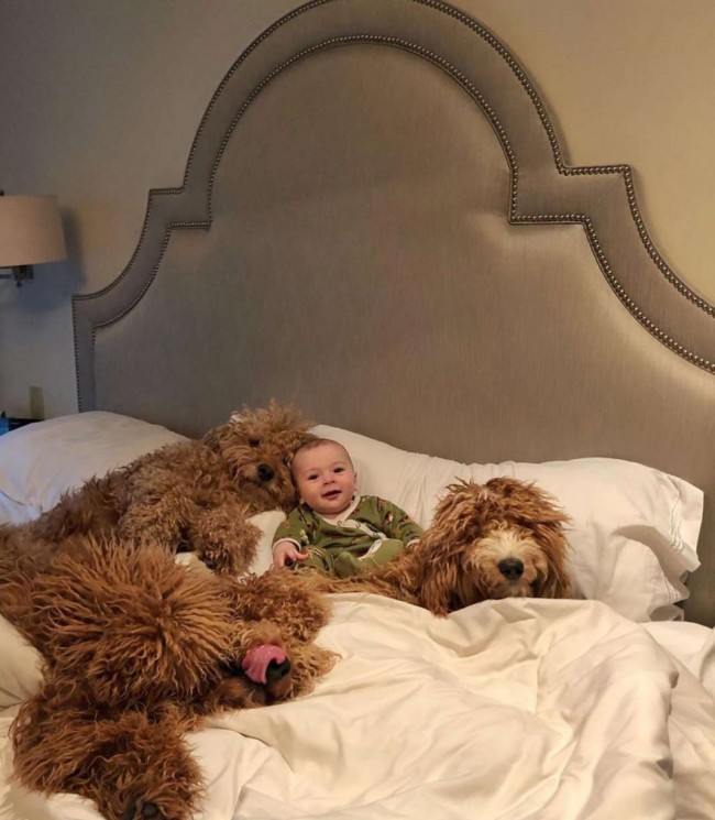 Foto: samsonthedood / Instagram