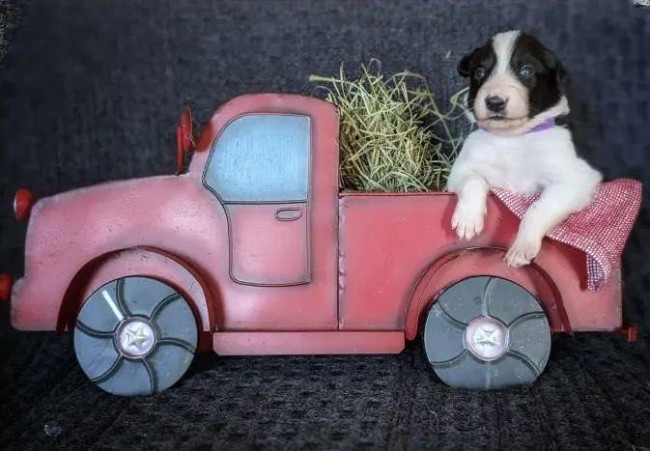 Foto: Kim Russell