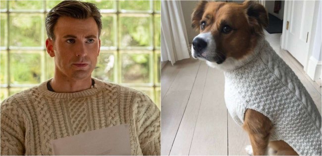 Foto: Twitter / @ChrisEvans