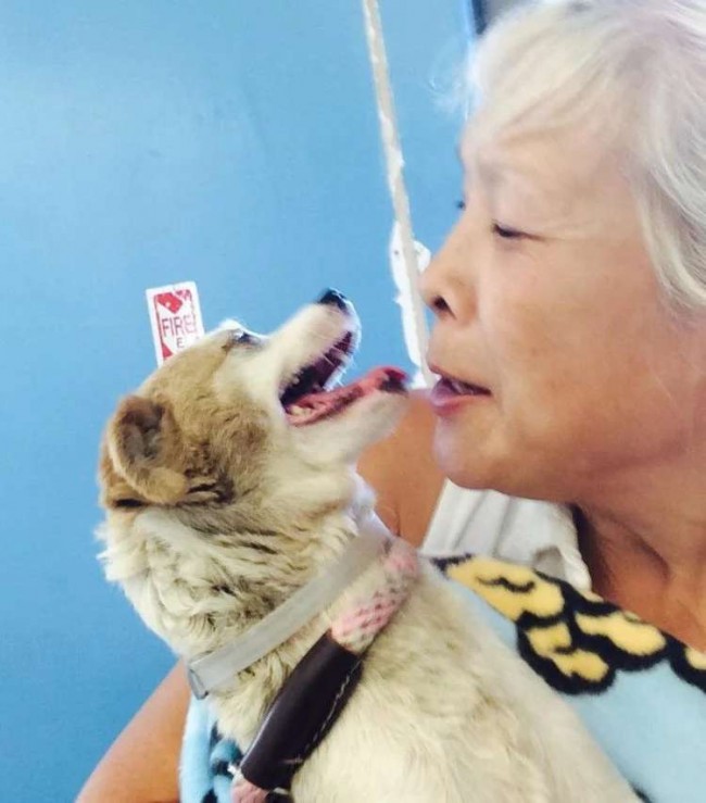 Foto: Reprodução / Baldwin Park Animal Shelter