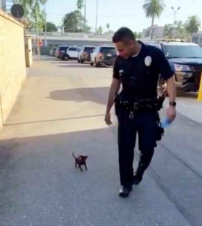 Foto: Twitter / @LAPDHollywood