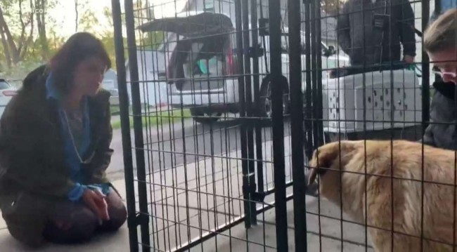 Foto: Reprodução / Kare11.com