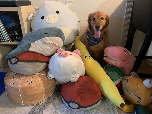 Foto: Imgur / Hiscleverusername