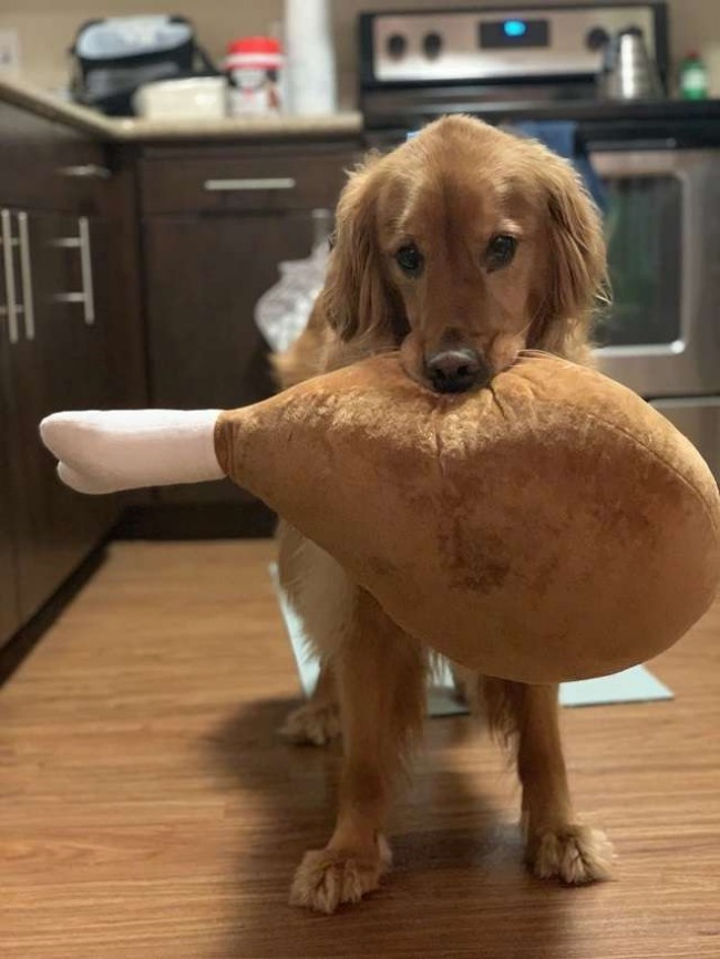 Foto: Imgur / Hiscleverusername