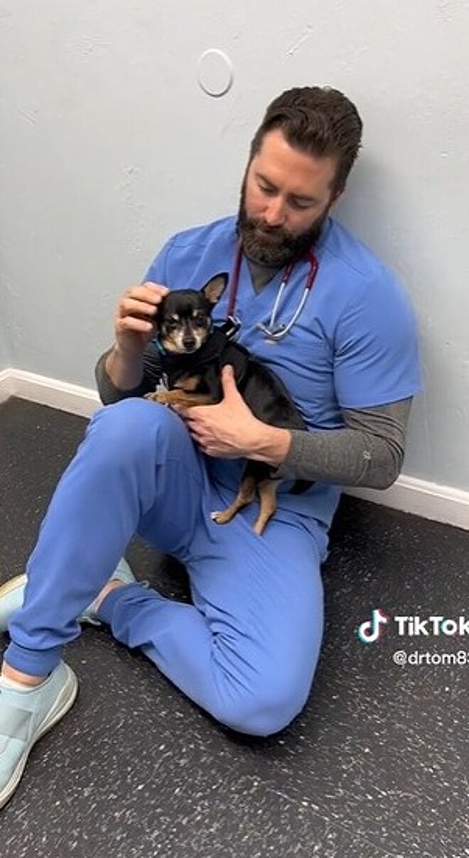 Conheça Thomas Hamilton, veterinário que encanta web ao mostrar como